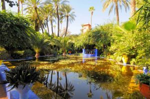 Unique Things to do in Marrakech