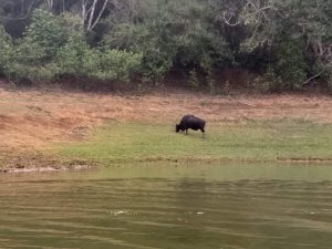 Thekkady places to visit